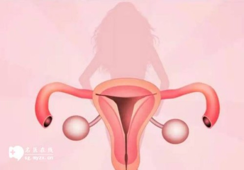 湖南湘雅医院供卵试管婴儿五大必备条件，请提前接收